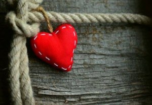 33081274_1914586105499033_458078667508023296_n