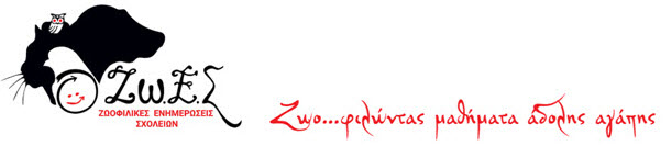 28-11-2018 11-07-50 πμ